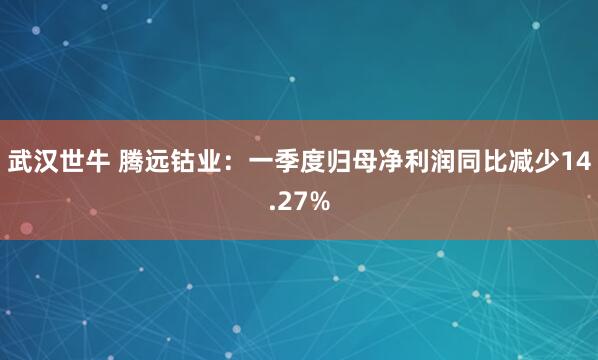武汉世牛 腾远钴业：一季度归母净利润同比减少14.27%