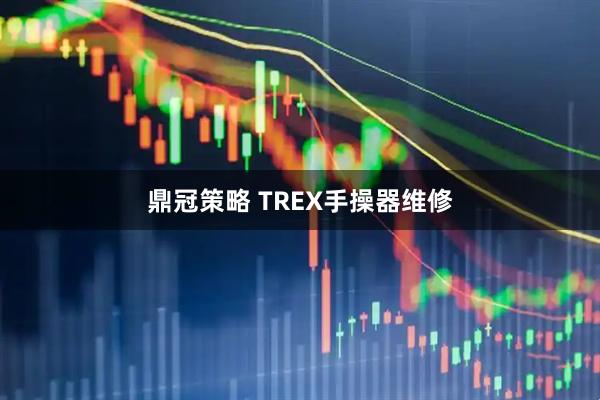 鼎冠策略 TREX手操器维修