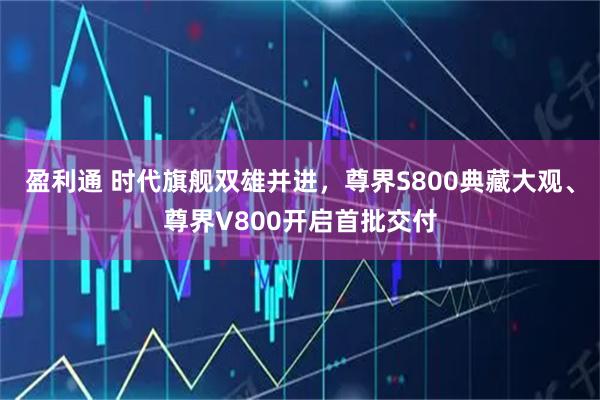 盈利通 时代旗舰双雄并进，尊界S800典藏大观、尊界V800开启首批交付